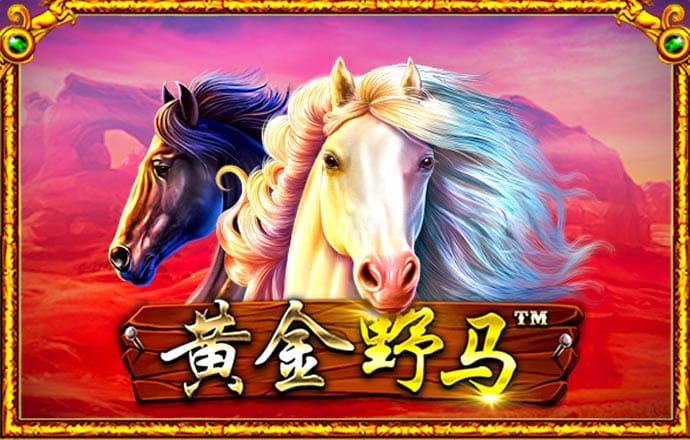 金沙直播最新版app下载
